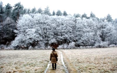 Sikeres évünk lesz!