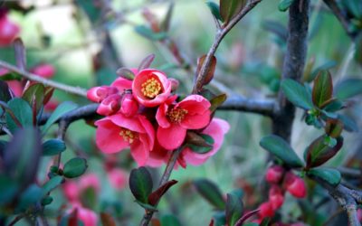 Tavaszi nagytakarítás – Vaszati tudatban