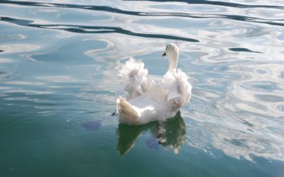 A spirituális északkelet szintén hatással van a pénzügyeinkre!