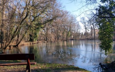 Most van igazán szükség a Vaszatira!