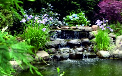 Az a bizonyos gazdagság sarok…