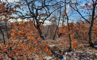 2012: egy különleges év kezdete