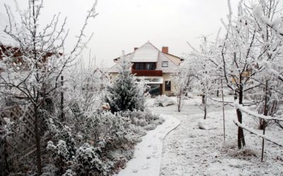 Ha már nagyon eleged van a télből…