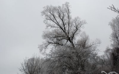 Szomorkás téli nap