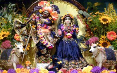 Otthonunk férfi és női energiái