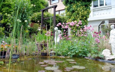 Vaszati álomvilág?