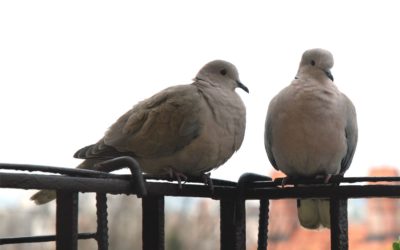 Vajon az otthonunk is tehet arról, hogy nem találunk társat?