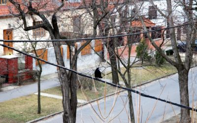 Hasonló házak, hasonló sorsok?