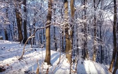 Szürke – tényleg komor?