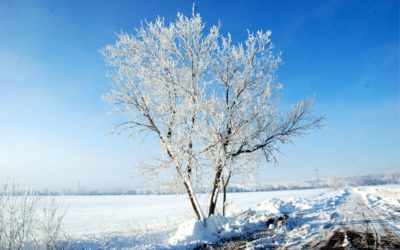 Fogadalom vagy célkitűzés?