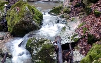 A nyugalom és a kreativitás elemei