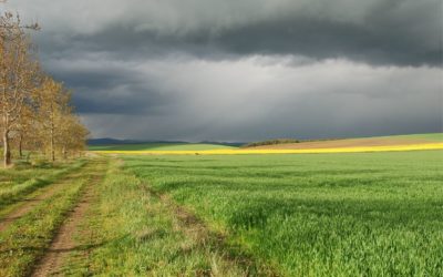 Szemléletváltás a pénzügyeimben