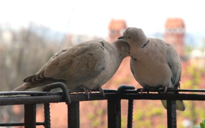 A két legfontosabb emberi szükségletünk