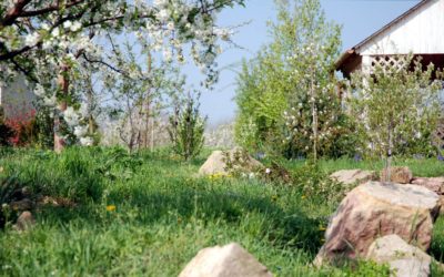 A tavaszi nagytakarítás nem nyűg, hanem lehetőség!