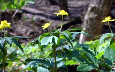 Egyszerű tippek a jó alváshoz