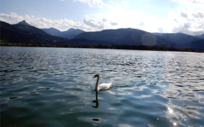 Víz a lakásban és a kertben