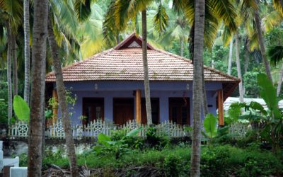 A Vaszati múltja és jelene Dél-Indiában