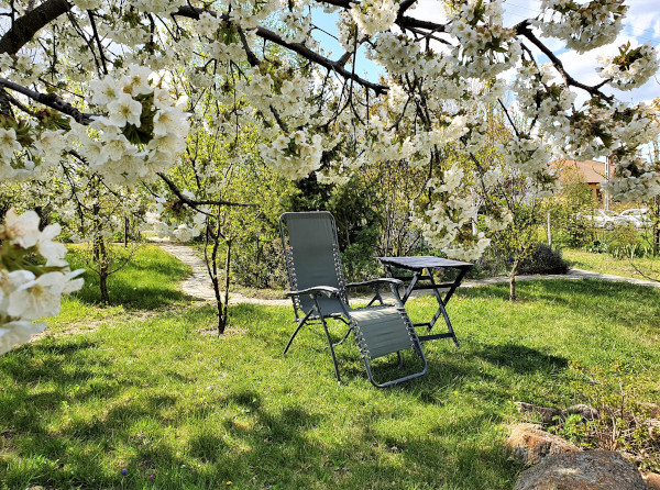 Egy virágzó cseresznyefa árnyékában üldögélni egy jó könyvvel - kell ennél több egy álmos szombat délutánra? (Most még a napon is jól esik lenni, de nyáron jól jön majd az árnyék!)