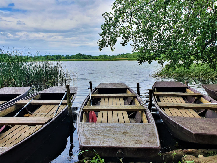 Ezeket a csónakokat a Tisza tónál találtuk még a nyáron... Csak arra vártak, hogy vízre szálljunk és közelebbről tanulmányozzuk a víz csodálatos élővilágát.l