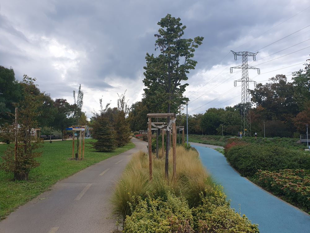 Pár hete Budapesten jártunk azon a környéken, ahol korábban laktunk. Örömmel láttuk, hogy a Rákos patak partján parkosítottak, futópályát és bicikliutat építettek. Ezek mind hozzátesznek ahhoz, hogy a lakók jól érezzék magukat. Itt azonban van egy komoly szépséghiba, ami jól látható a képen: az egész patak mellet végigfutó magasfeszültségű vezeték, ami sajnos elég közel van a patak parti társasházakhoz is.