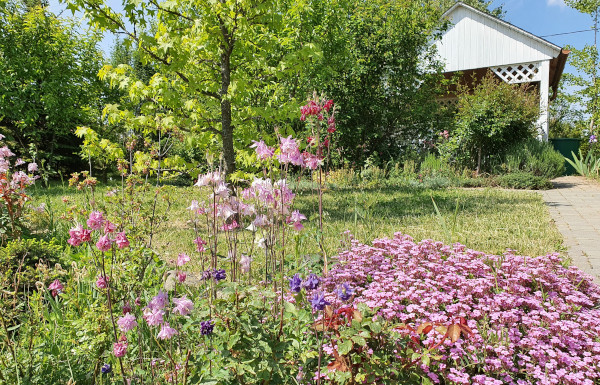 Ha szeretsz kertészkedni, vagy egyszerűen szeretsz egy szép kertben időzni, akkor érdemes egy nagyobb város kertvárosi részébe vagy falura költözni, ahol saját kerted lehet. Hogy végül melyiket választod, azt a vágyott életstílus befolyásolhatja.