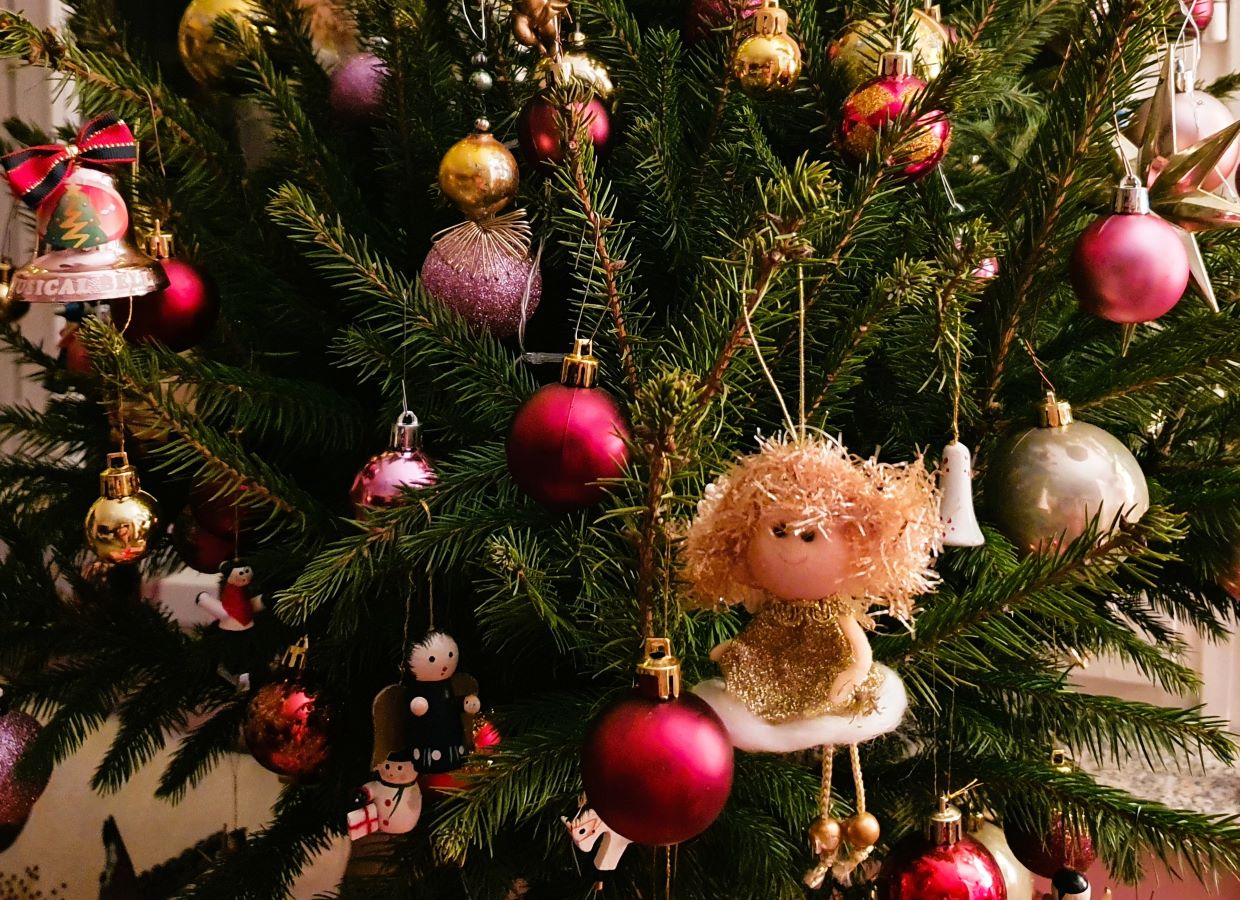 Ugye érzed a fenyő illatát?